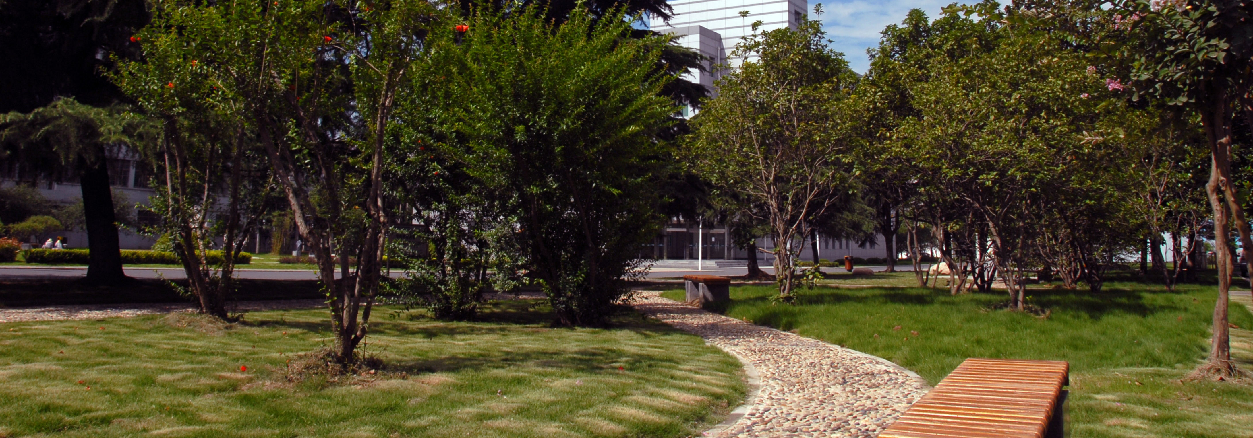 亚洲人成色A777777在线观看